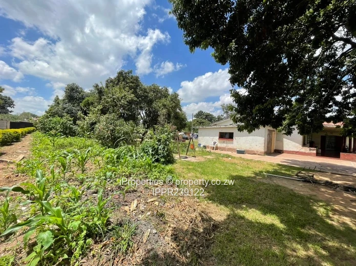 Investment  Property on 2,431sqm with Title Deeds