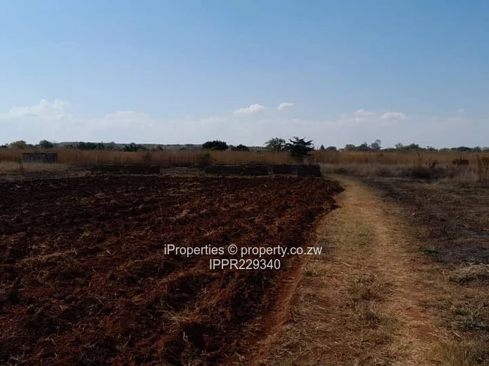 Plot for Sale – Kadoma (Sole Mandate)