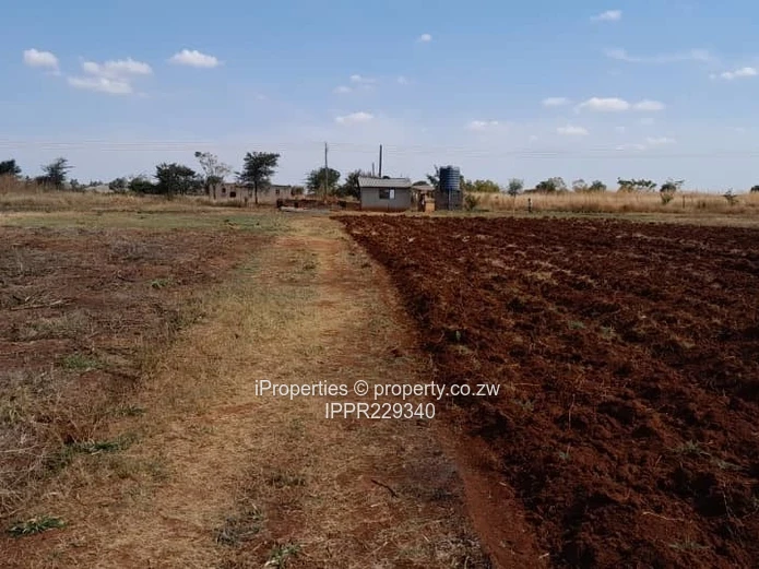 Plot for Sale – Kadoma (Sole Mandate)