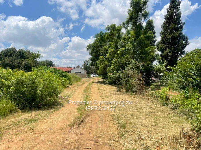 Investment  Property on 2,431sqm with Title Deeds
