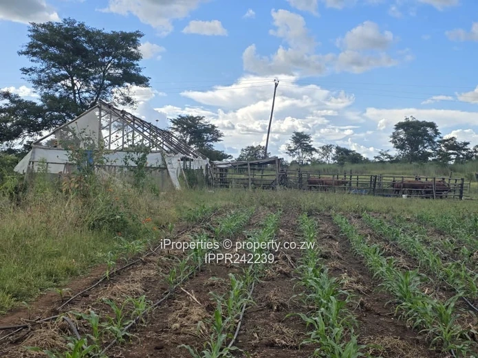 1.6 Hectares Land with a 3 Bedroom House- 30km from Harare (Sole Mandate)