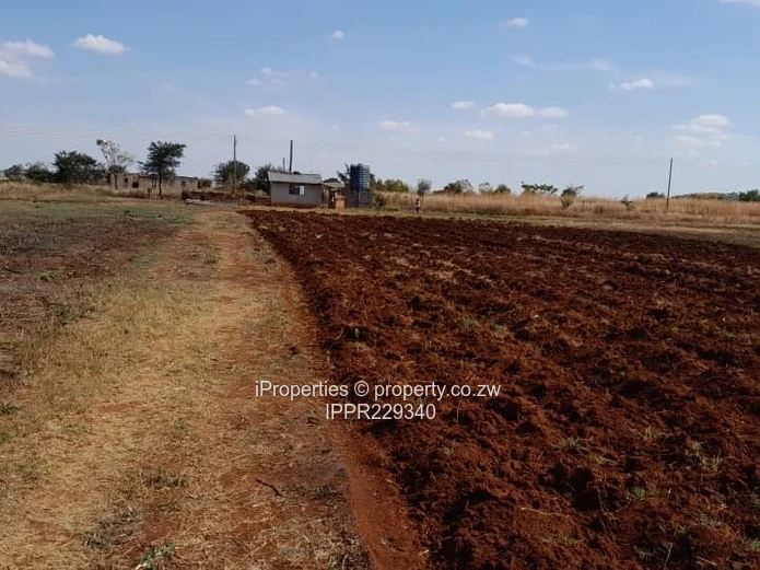 Plot for Sale – Kadoma (Sole Mandate)